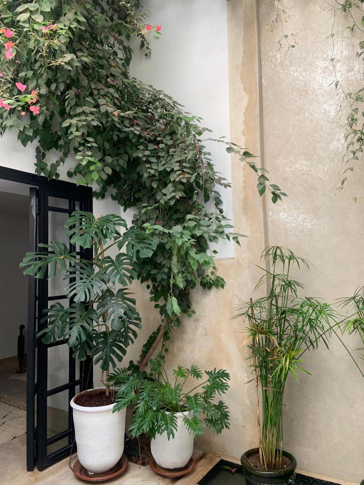 Le Petit Pacha Hotel Marrakesh Ngoại thất bức ảnh